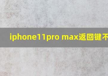 iphone11pro max返回键不灵敏